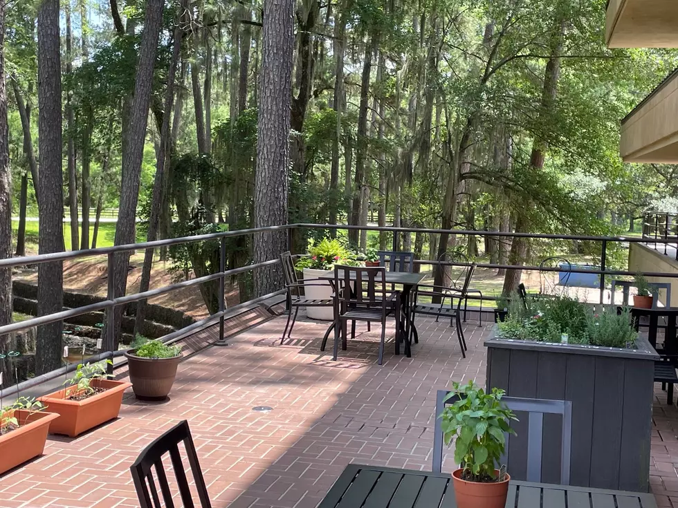 About 2 The pine-shaded patio at Pine Bough Café in Diboll, Texas